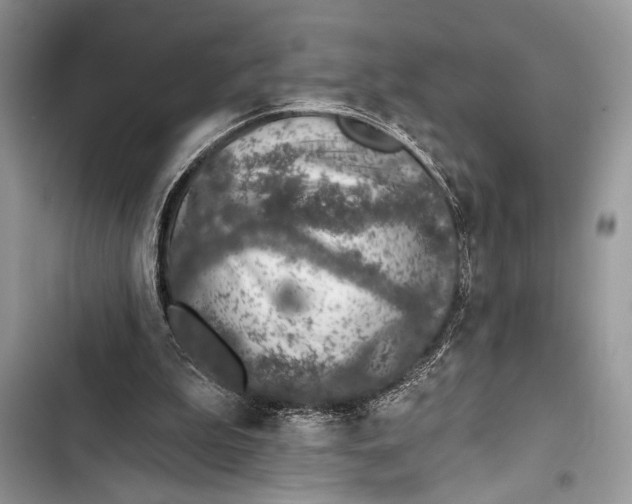 X0000103470199200810031528