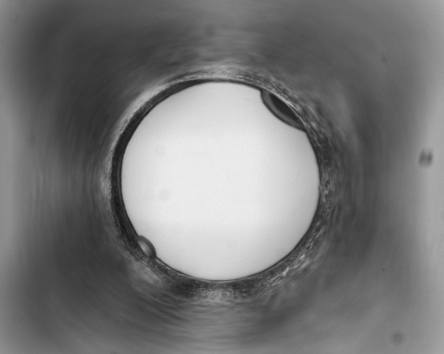 X0000103470200200810031528