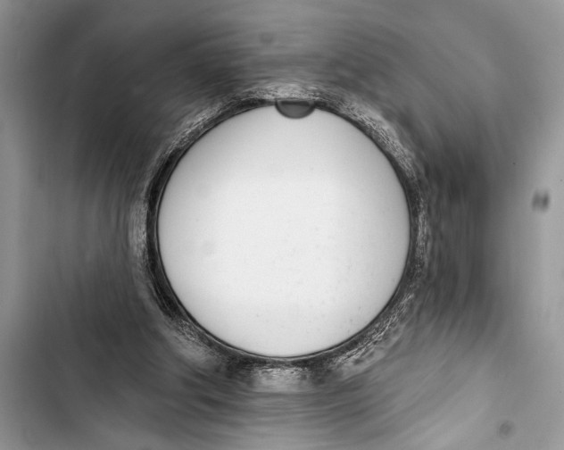 X0000103470202200810031528