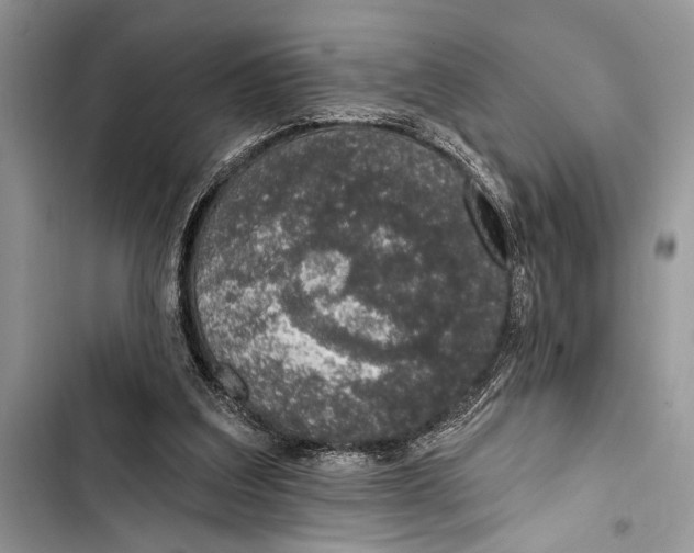 X0000103470203200810031528