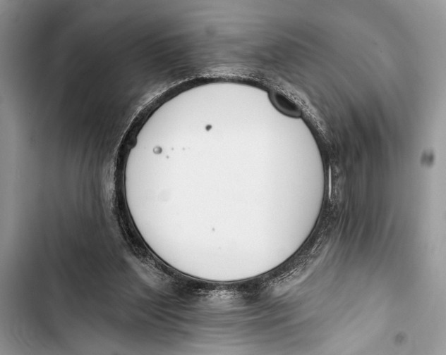 X0000103470204200810031528