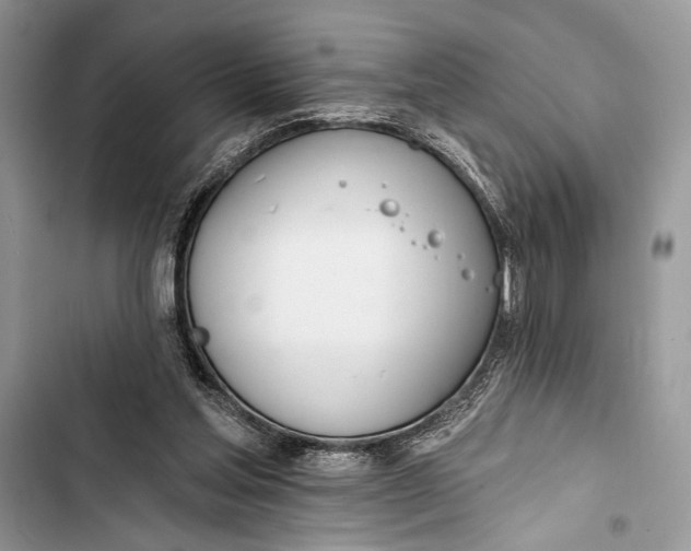 X0000103470205200810031527