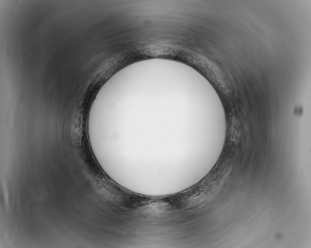 X0000103470210200810031527