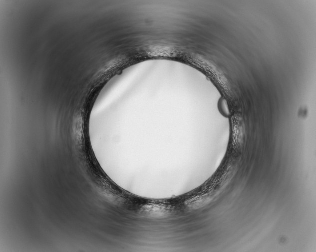 X0000103470211200810031527