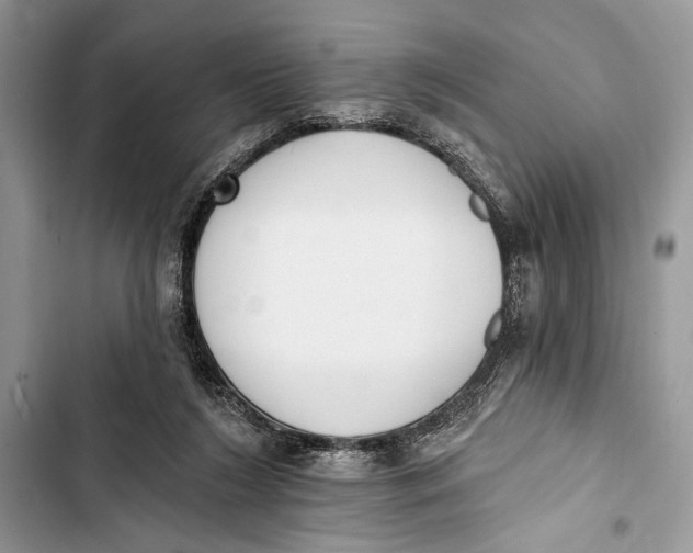 X0000103470212200810031527