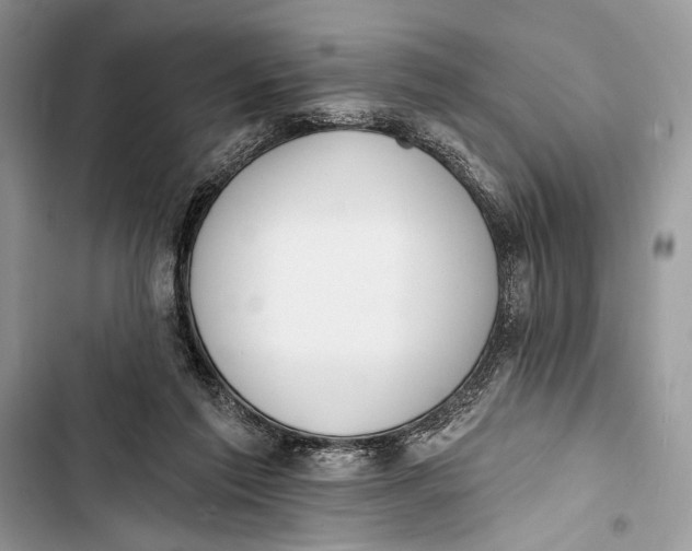 X0000103470213200810031527