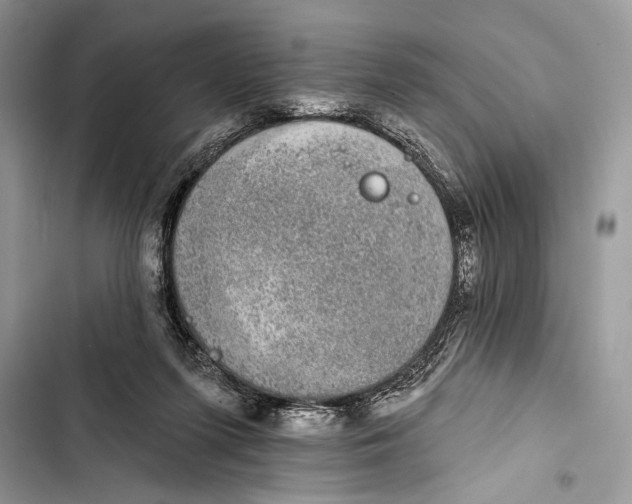 X0000103470215200810031527