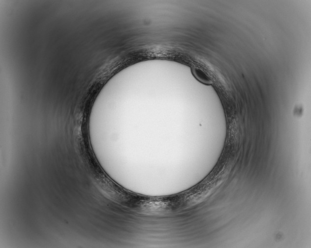 X0000103470217200810031527