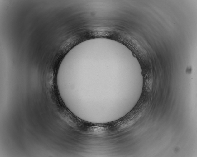 X0000103470219200810031527