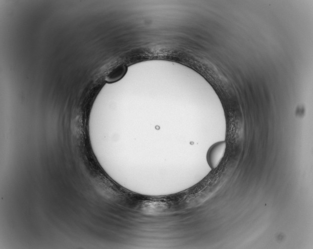 X0000103470220200810031527