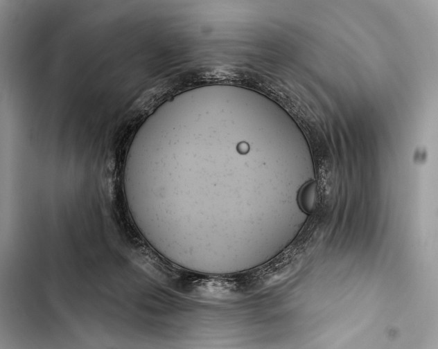 X0000103470223200810031527