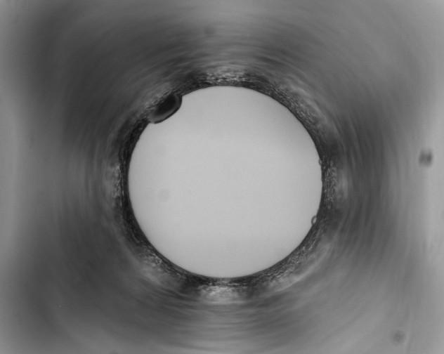 X0000103470224200810031527