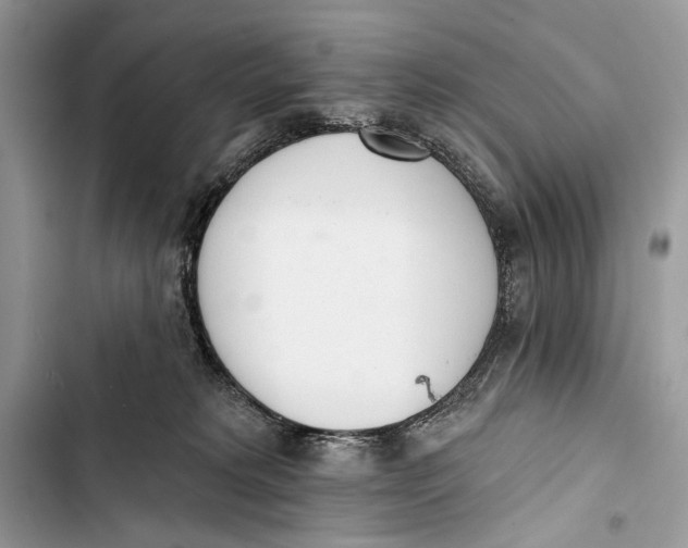 X0000103470229200810031527