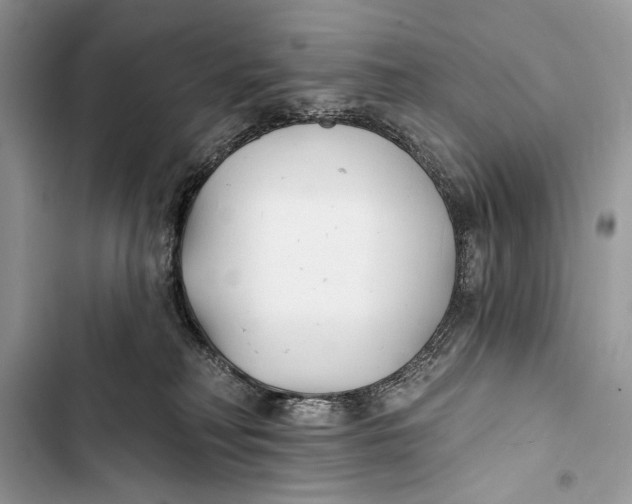 X0000103470230200810031527