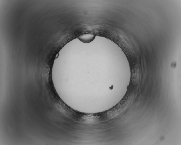 X0000103470231200810031527