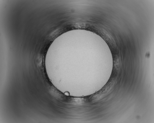 X0000103470233200810031527