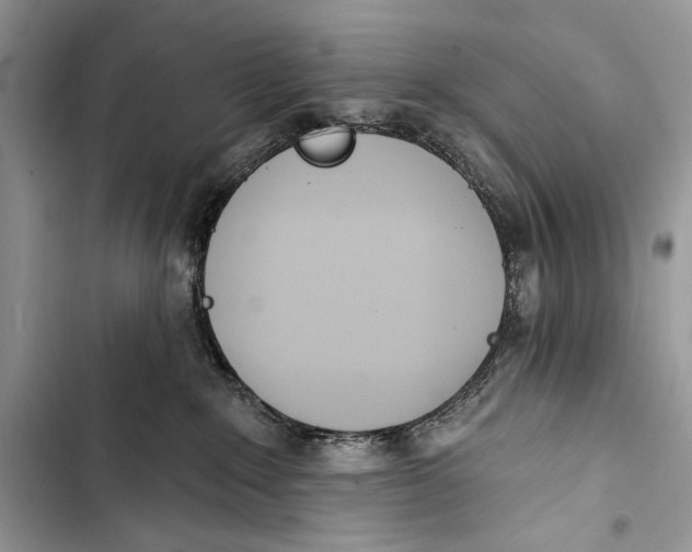 X0000103470235200810031527