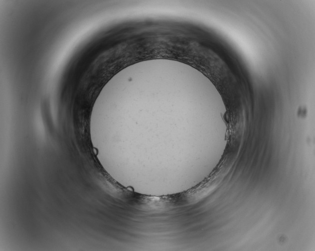 X0000103470239200810031527