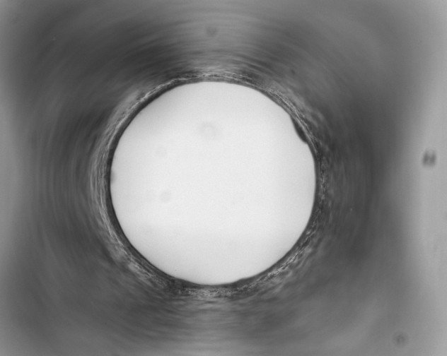 X0000103470241200810031526
