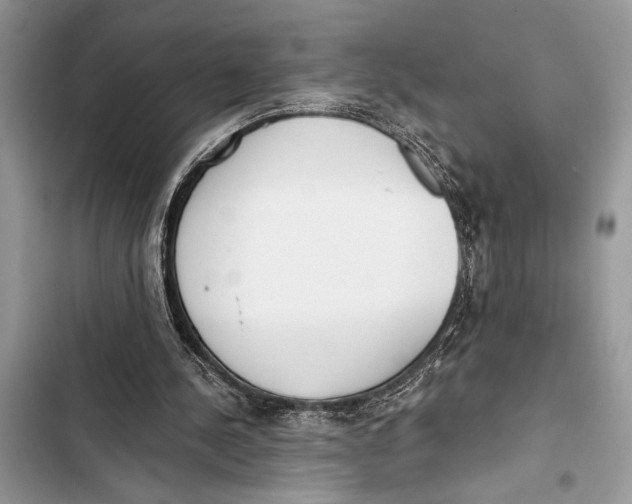 X0000103470244200810031526