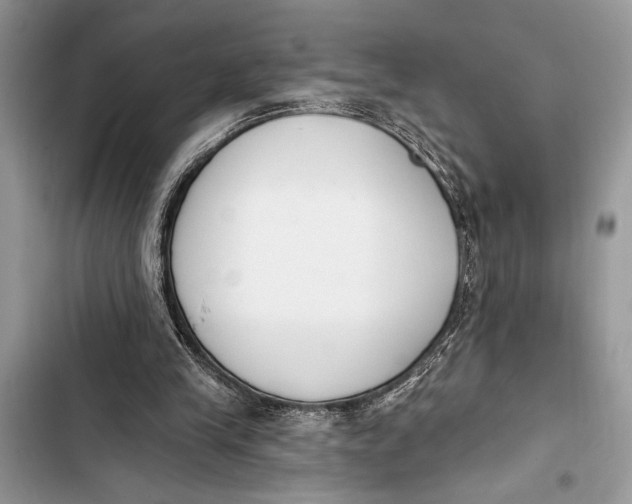 X0000103470245200810031526