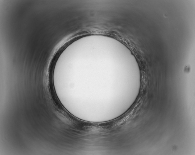 X0000103470246200810031526