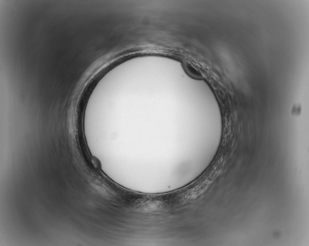 X0000103470247200810031526