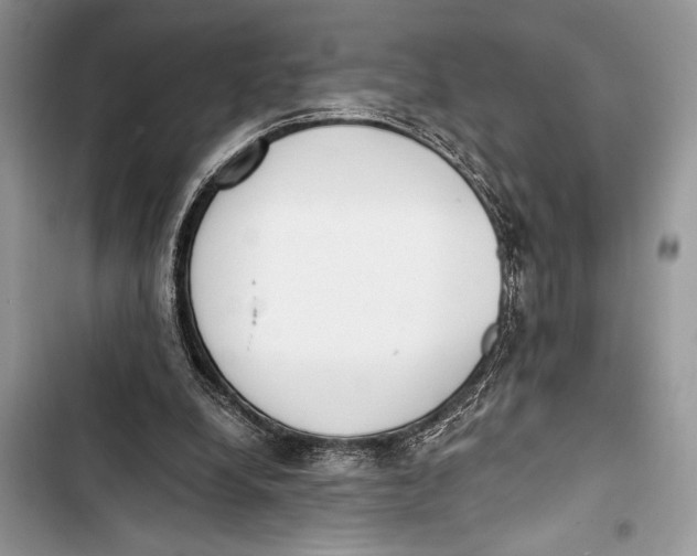 X0000103470248200810031526