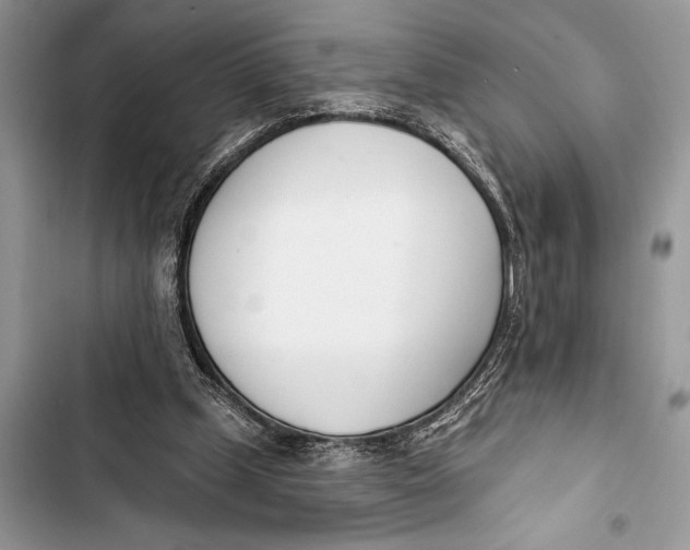 X0000103470249200810031526