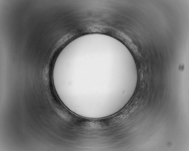 X0000103470250200810031526