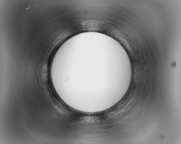 X0000103470251200810031526