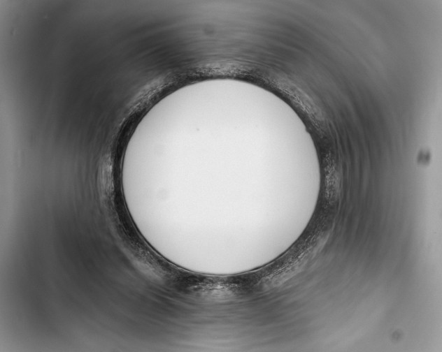 X0000103470254200810031527