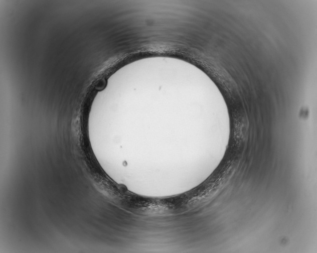 X0000103470256200810031527