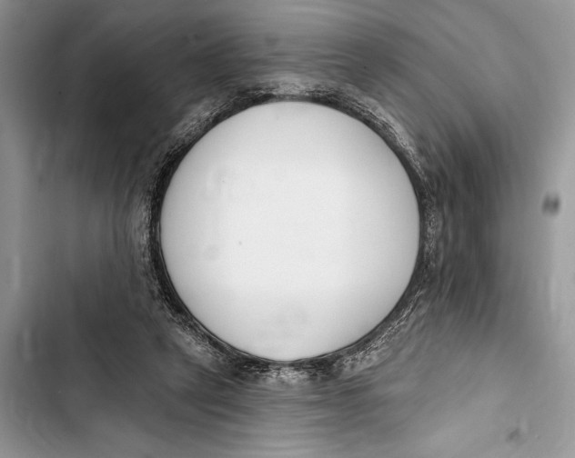 X0000103470257200810031527