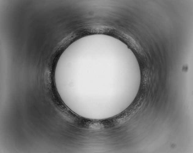 X0000103470258200810031527