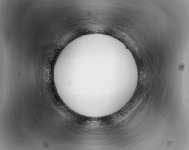 X0000103470259200810031527