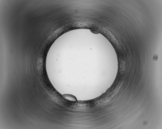 X0000103470260200810031527