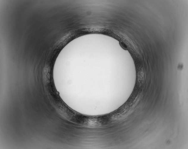 X0000103470264200810031527
