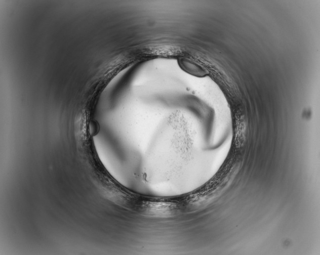 X0000103470268200810031527
