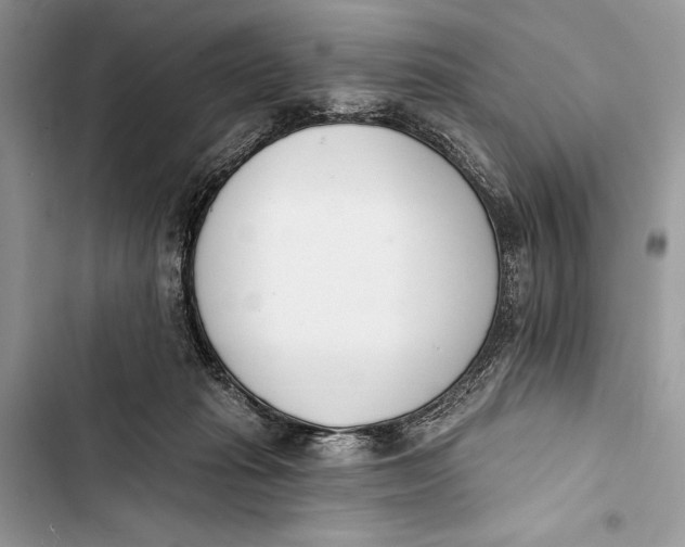 X0000103470269200810031527