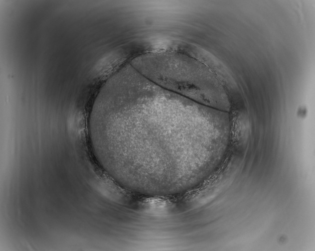 X0000103470272200810031527