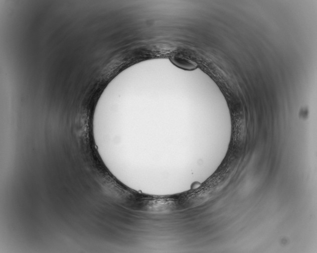X0000103470274200810031527