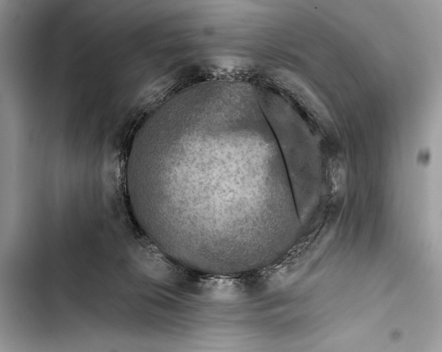 X0000103470276200810031527