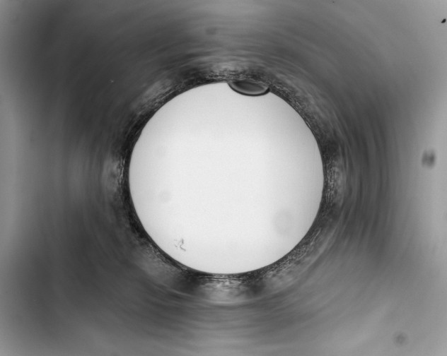 X0000103470278200810031527