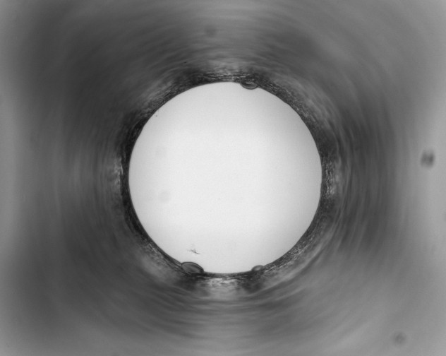 X0000103470279200810031527
