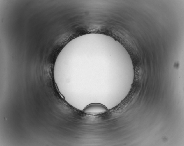 X0000103470280200810031527