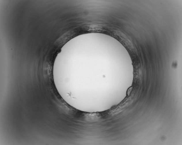 X0000103470281200810031527