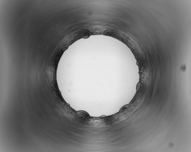 X0000103470283200810031527