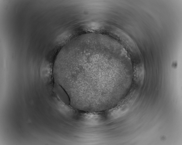 X0000103470284200810031527