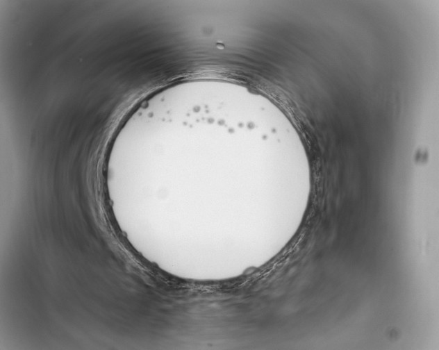 X0000103470289200810031526